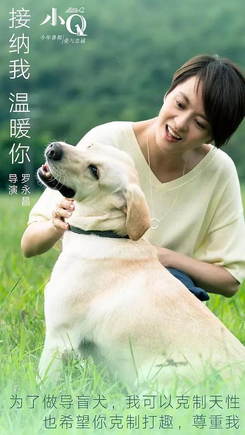 电子版学位证书在哪里下载